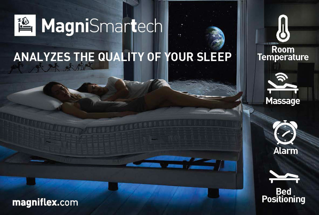 MAGNISMARTECH QUEEN BED SYSTEM