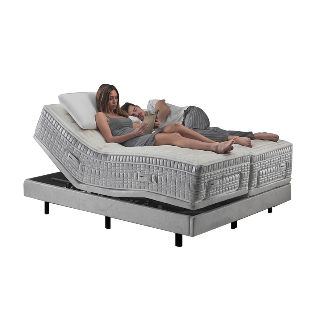MAGNISMARTECH QUEEN BED SYSTEM