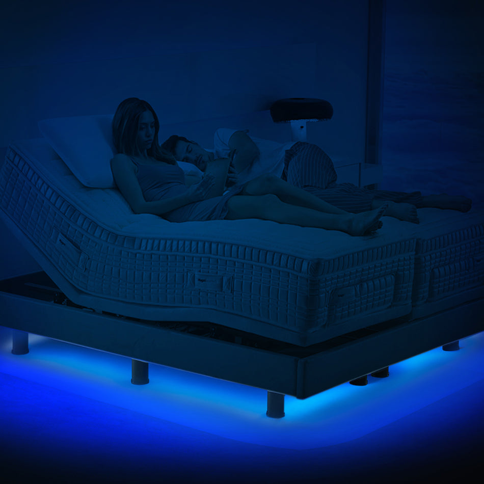 MAGNISMARTECH QUEEN BED SYSTEM