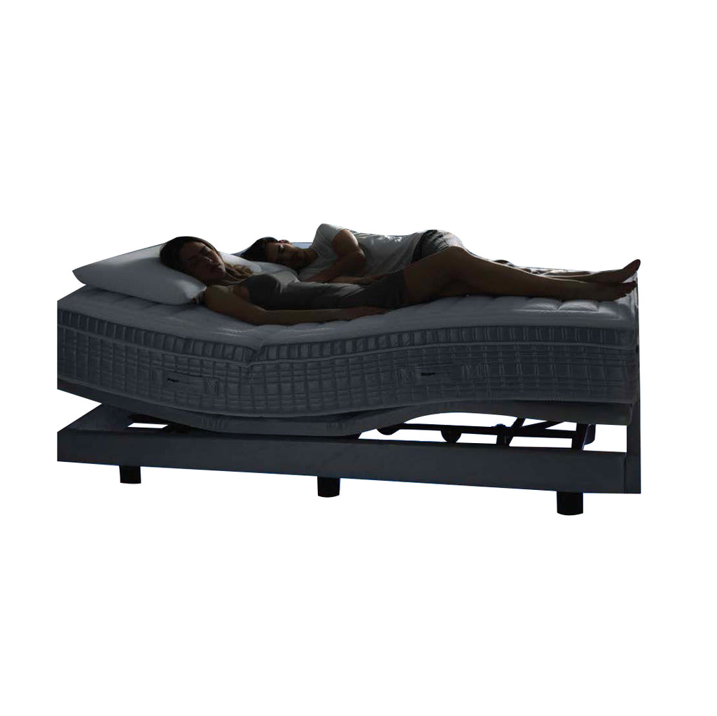 MAGNISMARTECH QUEEN BED SYSTEM